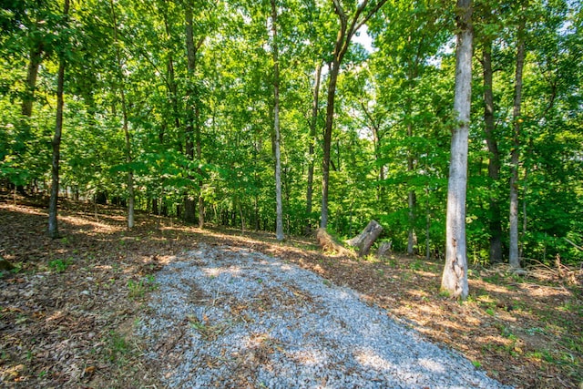 LOTS14 Channel Oaks Dr, Louisville, TN 37777 - photo 4