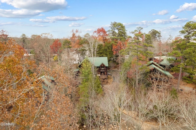 view of local wilderness