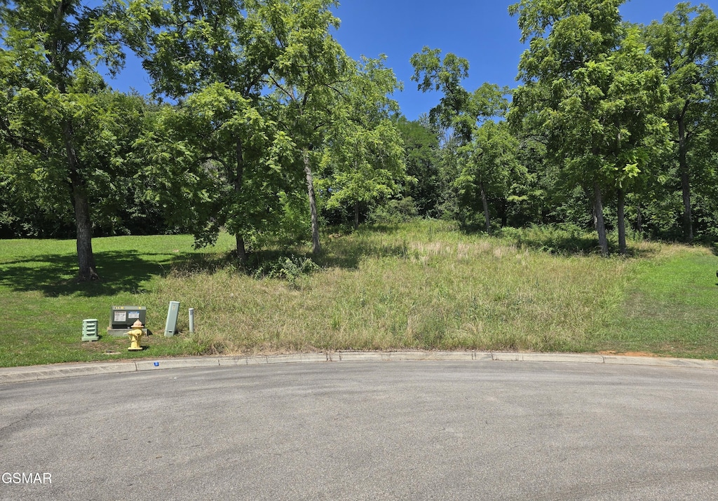 LOT5 Morningside Ln, Dandridge, TN 37725