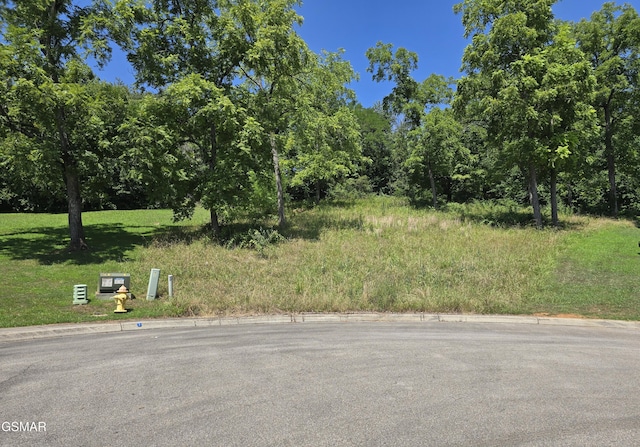 LOT5 Morningside Ln, Dandridge, TN 37725
