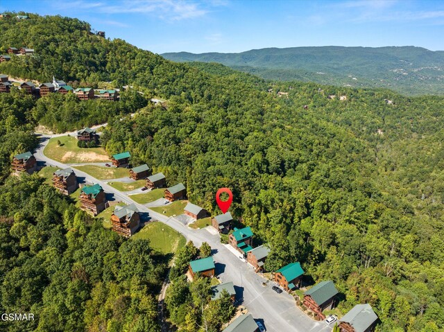 bird's eye view featuring a mountain view and a view of trees