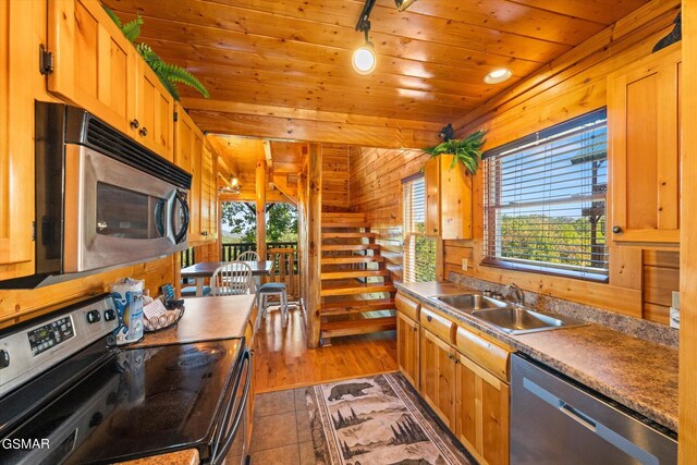 kitchen featuring wooden walls, wood ceiling, a wealth of natural light, appliances with stainless steel finishes, and a sink