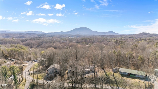 property view of mountains featuring a forest view