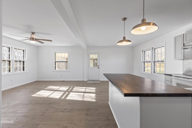 kitchen featuring wooden counters, plenty of natural light, wood finished floors, and white electric range