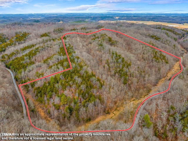 0 Phillip Hollow Rd, Bybee TN, 37713 land for sale