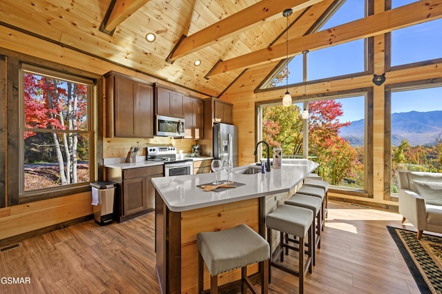 kitchen featuring wood ceiling, stainless steel appliances, sink, beam ceiling, and a mountain view