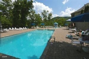 view of pool featuring a patio