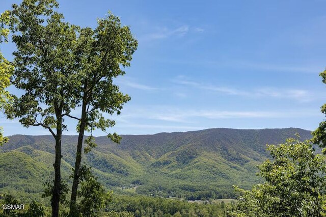 view of mountain feature