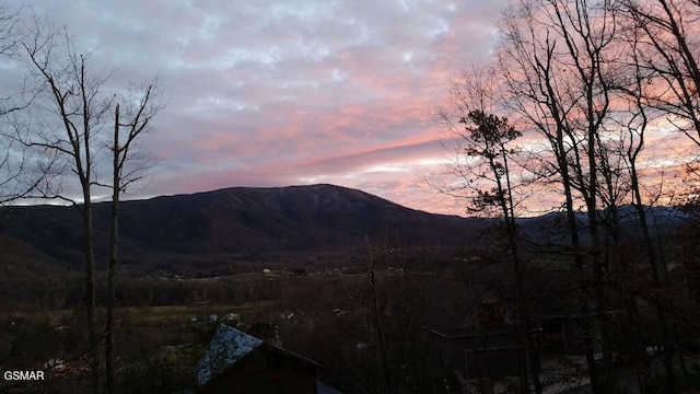 view of mountain feature