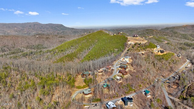 aerial view featuring a mountain view