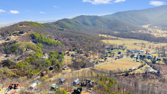 view of mountain feature