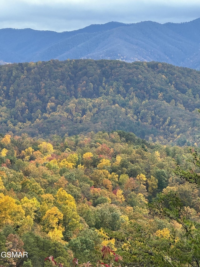 property view of mountains featuring a forest view