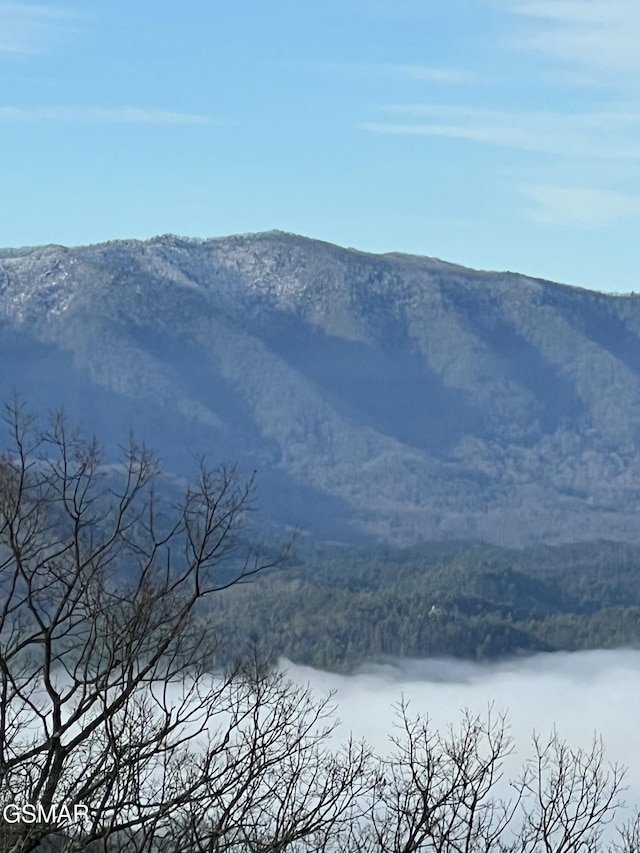 view of mountain feature featuring a water view and a wooded view