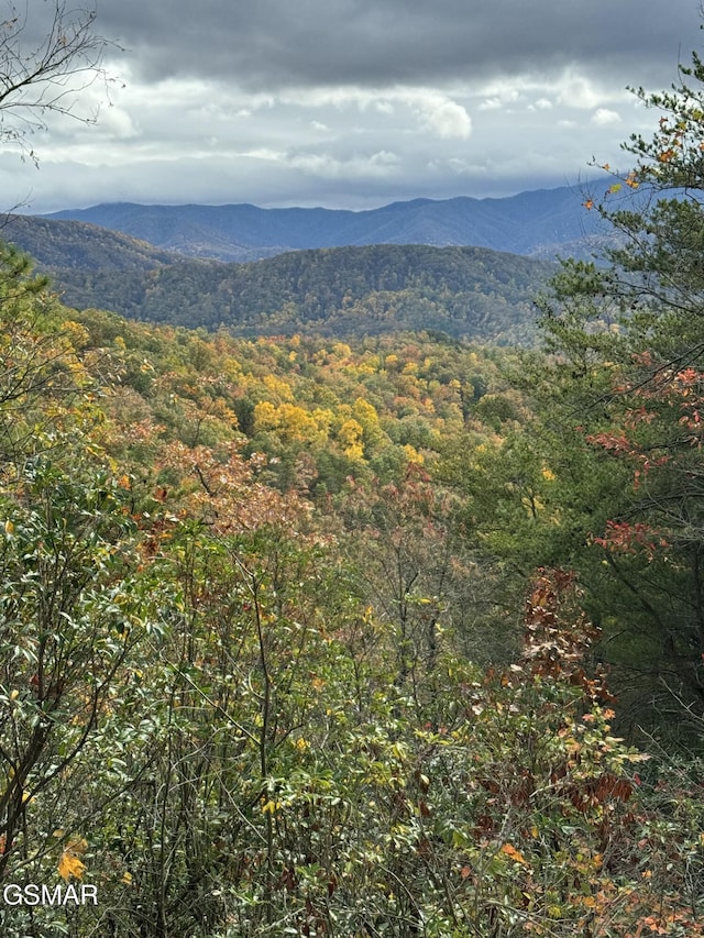 view of mountain feature featuring a forest view