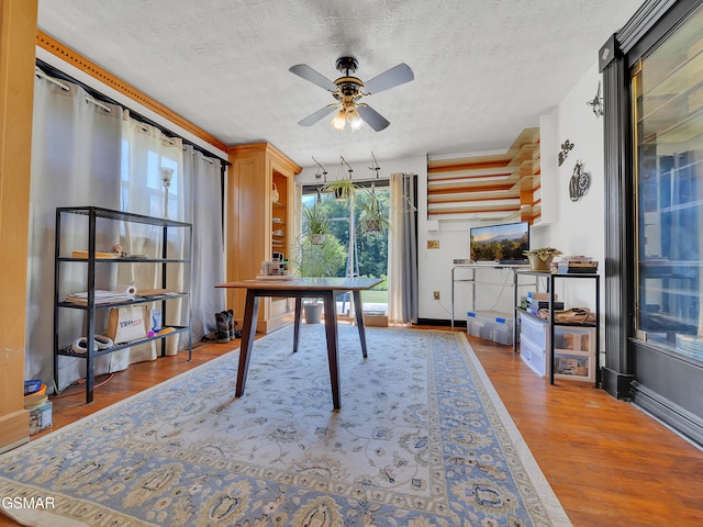 9902 Old Rutledge Pike, Mascot, TN 37806 - photo 4