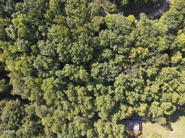 LOT61 Old Smoky High Top Rd, Cosby, TN 37722 - photo 6