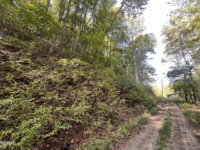 LOT61 Old Smoky High Top Rd, Cosby, TN 37722 - photo 8