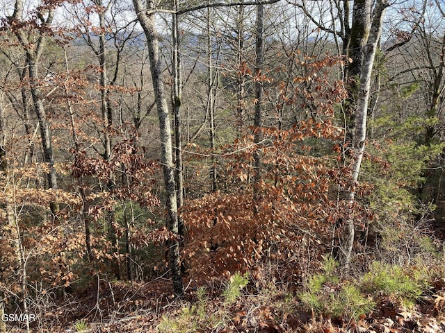 Listing photo 2 for LOT51 Red Cedar Ln, Sevierville TN 37876