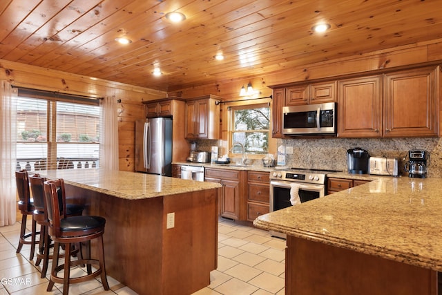 kitchen with light stone counters, plenty of natural light, and stainless steel appliances