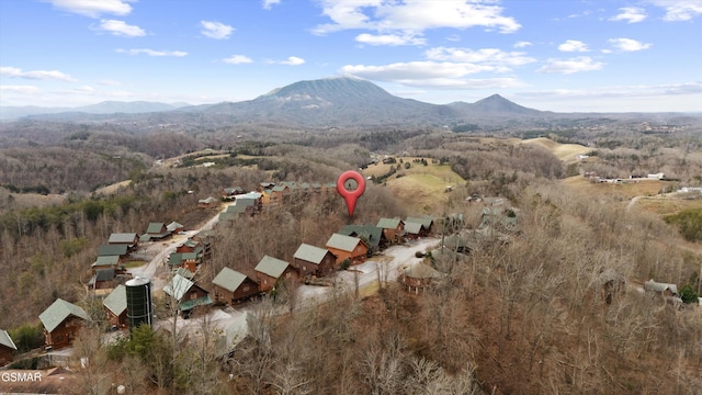 bird's eye view featuring a mountain view