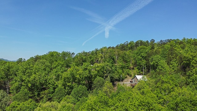 view of local wilderness