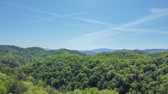 property view of mountains with a view of trees