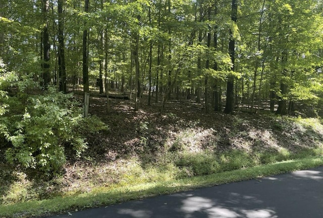 223 Chahyga Cir, Loudon, TN 37774 - photo 5