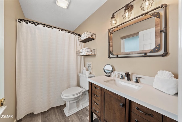 bathroom featuring a shower with shower curtain, toilet, wood finished floors, and vanity