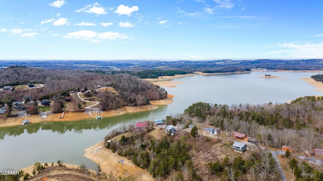 aerial view featuring a forest view and a water view