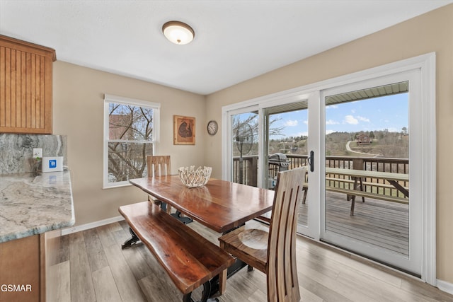 dining room with baseboards, a healthy amount of sunlight, and light wood-style flooring