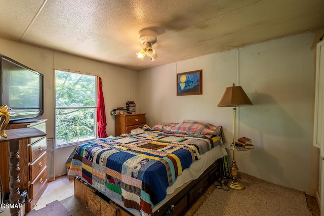 434 Unicoi Church Rd, Tellico Plains, TN 37385 - photo 4