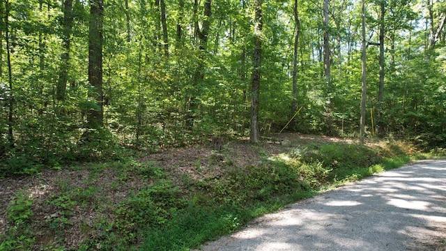 LOT23 Ruff Grouse Way, Seymour, TN 37865