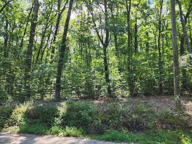 Listing photo 3 for LOT23 Ruff Grouse Way, Seymour TN 37865