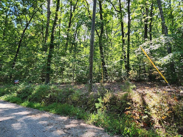 Listing photo 2 for LOT23 Ruff Grouse Way, Seymour TN 37865