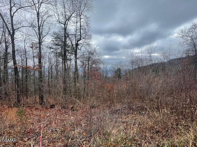 0 Top Rd, Sevierville TN, 37876 land for sale