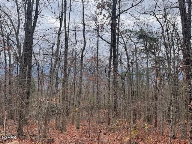 Listing photo 2 for 0 Top Rd, Sevierville TN 37876