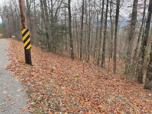 Listing photo 3 for 0 Top Rd, Sevierville TN 37876