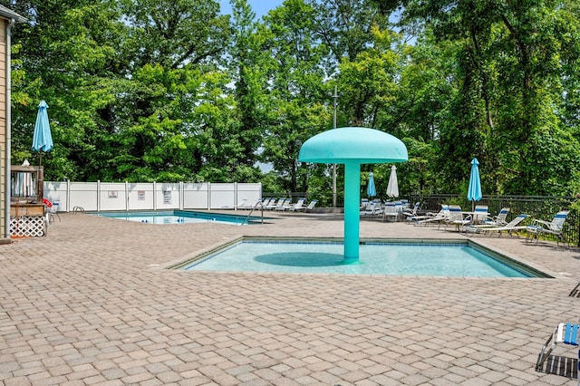 view of swimming pool with a patio