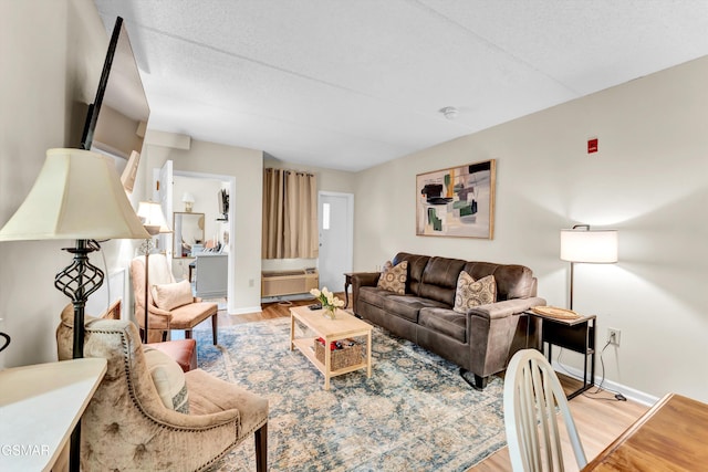 413 Baskins Creek Rd Unit 205, Gatlinburg, TN 37738 - living room with light wood-type flooring, baseboards, and a wall unit AC