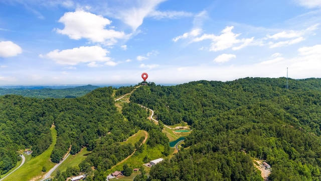 3661 Richardson Cove Rd, Sevierville, TN 37876 - birds eye view of property