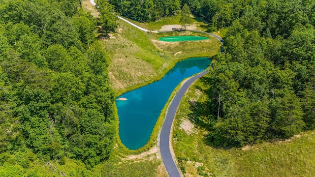 3661 Richardson Cove Rd, Sevierville, TN 37876 - birds eye view of property featuring a water view
