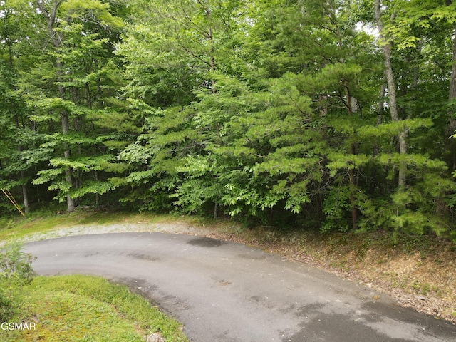 4350 Carolina Cove Way, Pigeon Forge, TN 37863 - photo 4