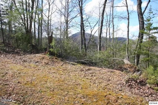 4350 Carolina Cove Way, Pigeon Forge, TN 37863 - photo 1