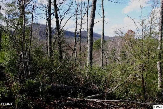 4350 Carolina Cove Way, Pigeon Forge, TN 37863 - photo 2