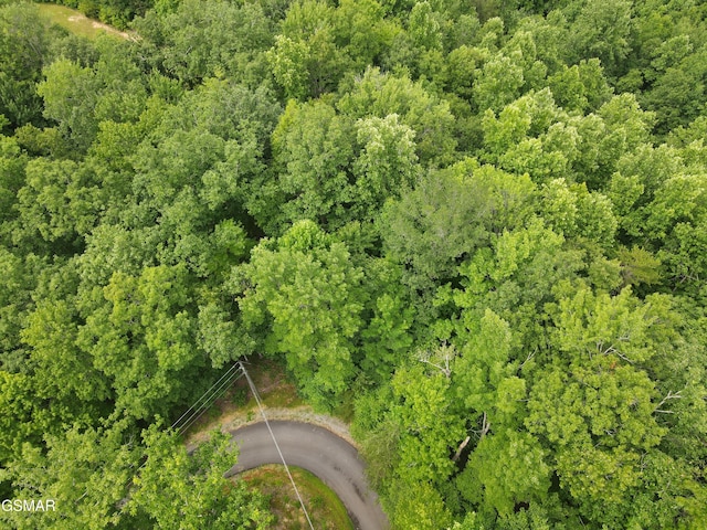 4350 Carolina Cove Way, Pigeon Forge, TN 37863 - photo 5