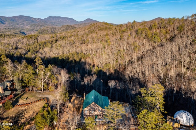 view of mountain feature featuring a wooded view