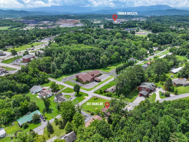 307 Hicks Dr, Sevierville, TN 37862 - photo 71