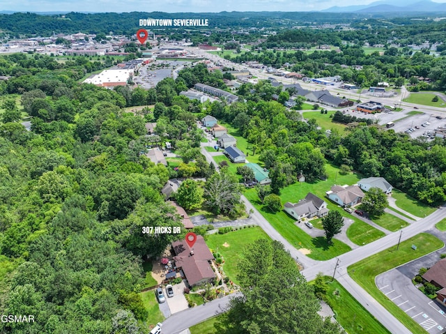307 Hicks Dr, Sevierville, TN 37862 - photo 70