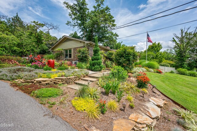 307 Hicks Dr, Sevierville, TN 37862 - photo 68