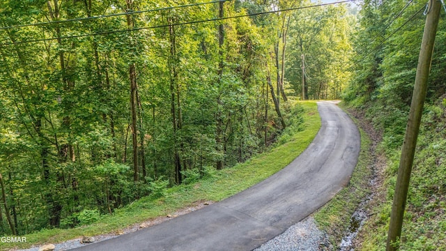 1017 Big Buck Trl, Townsend, TN 37882